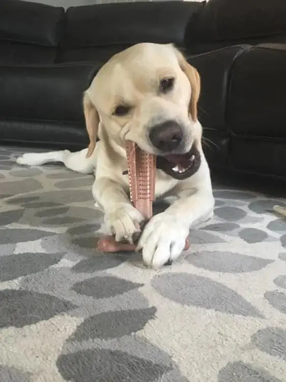 Dog Chew Toys Durable Oral Care Dog Chews Puppy Chew Toys Keep Teeth Clean for Mild Chewing and Teething Teeth Cleaning Toy - Nova Trendz