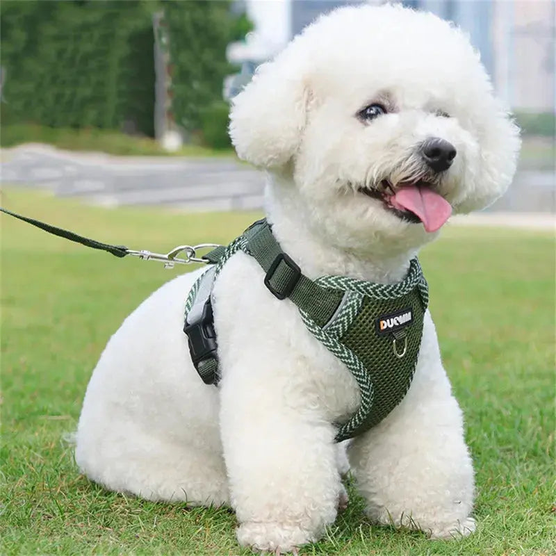 New Dog Leash Vest Type Pet Chest Strap Reflective and Breathable Walking Cat Rope Dog Rope Nova Trendz