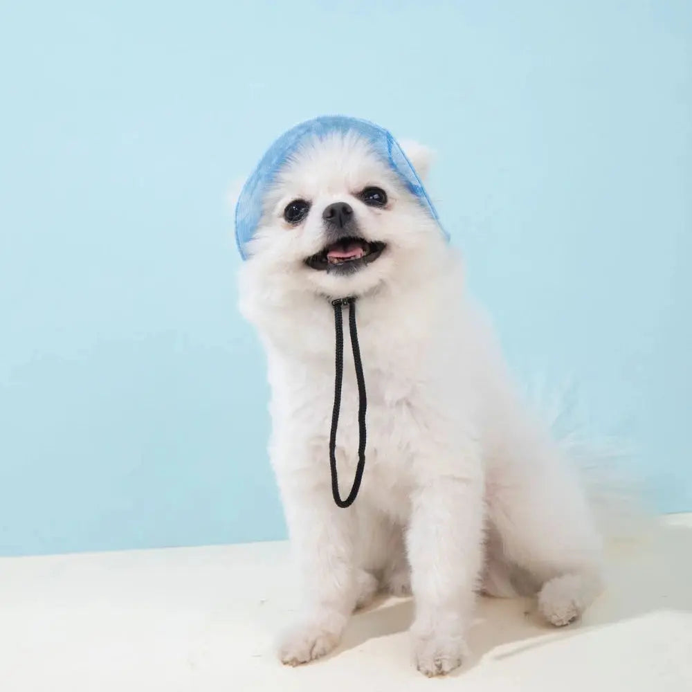 Pet Hat with Ear Holes Summer Outdoor Cute Dog Cat Hat Colorful Adjustable Baseball Cap for Small Medium Dogs Cats Pet Supplies Nova Trendz