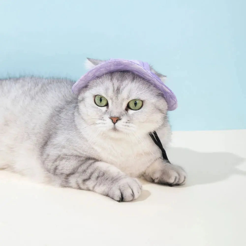 Pet Hat with Ear Holes Summer Outdoor Cute Dog Cat Hat Colorful Adjustable Baseball Cap for Small Medium Dogs Cats Pet Supplies Nova Trendz