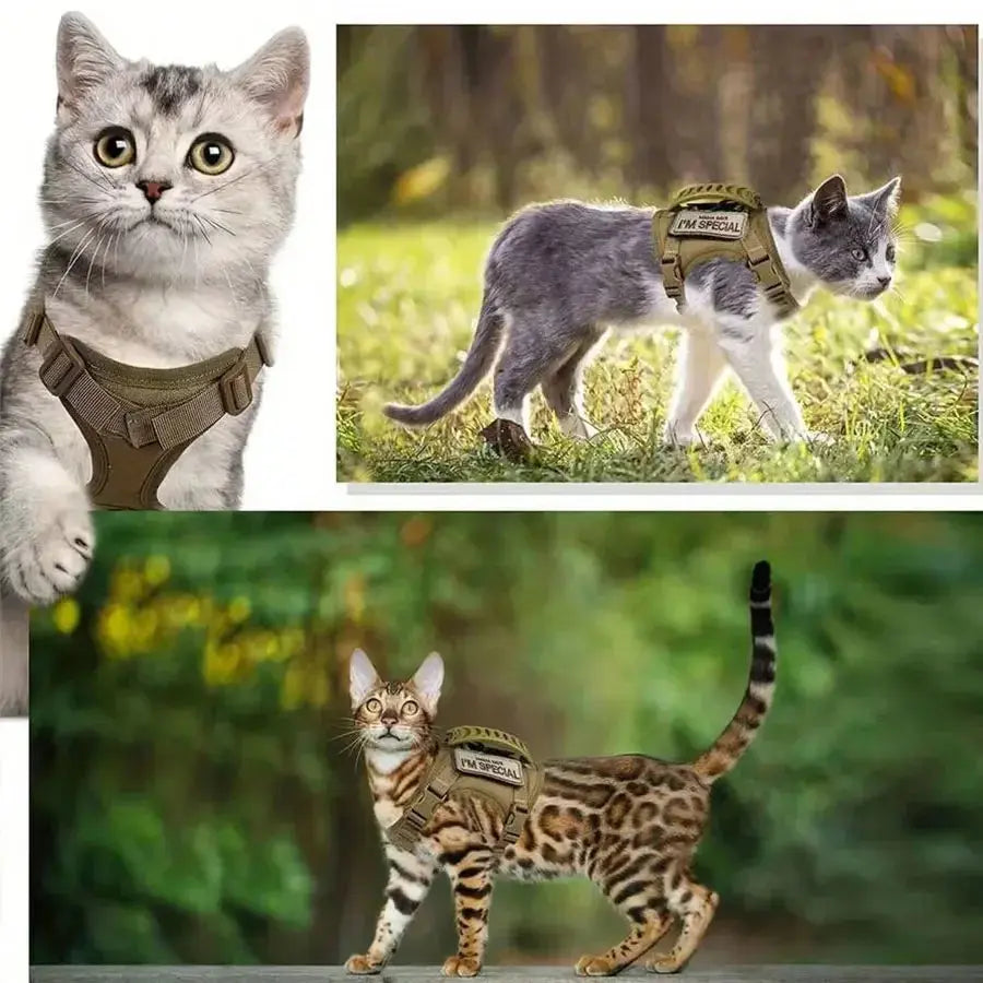 Outdoor Cat Vest Waterproof Cat Clothes Cat Chest Strap Special Vest for Walking Cats Can Be Adjusted Nova Trendz