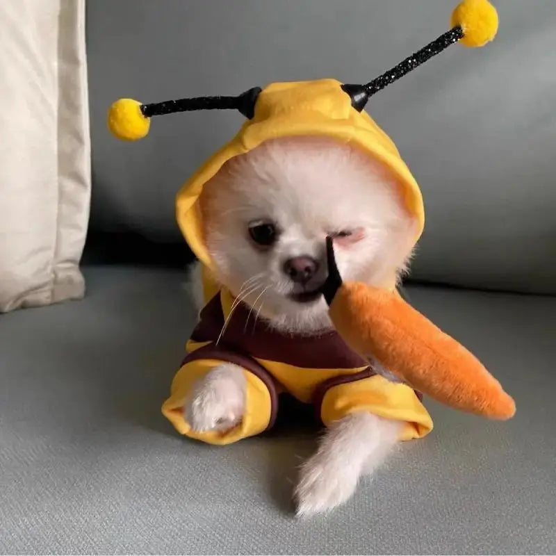 Pet Halloween Costume Honey Bee Role Play Hoodie with Buckle or Not Dogs Cats Party Cosplay Funny Outfit Clothes Dog Hoodies - Nova Trendz