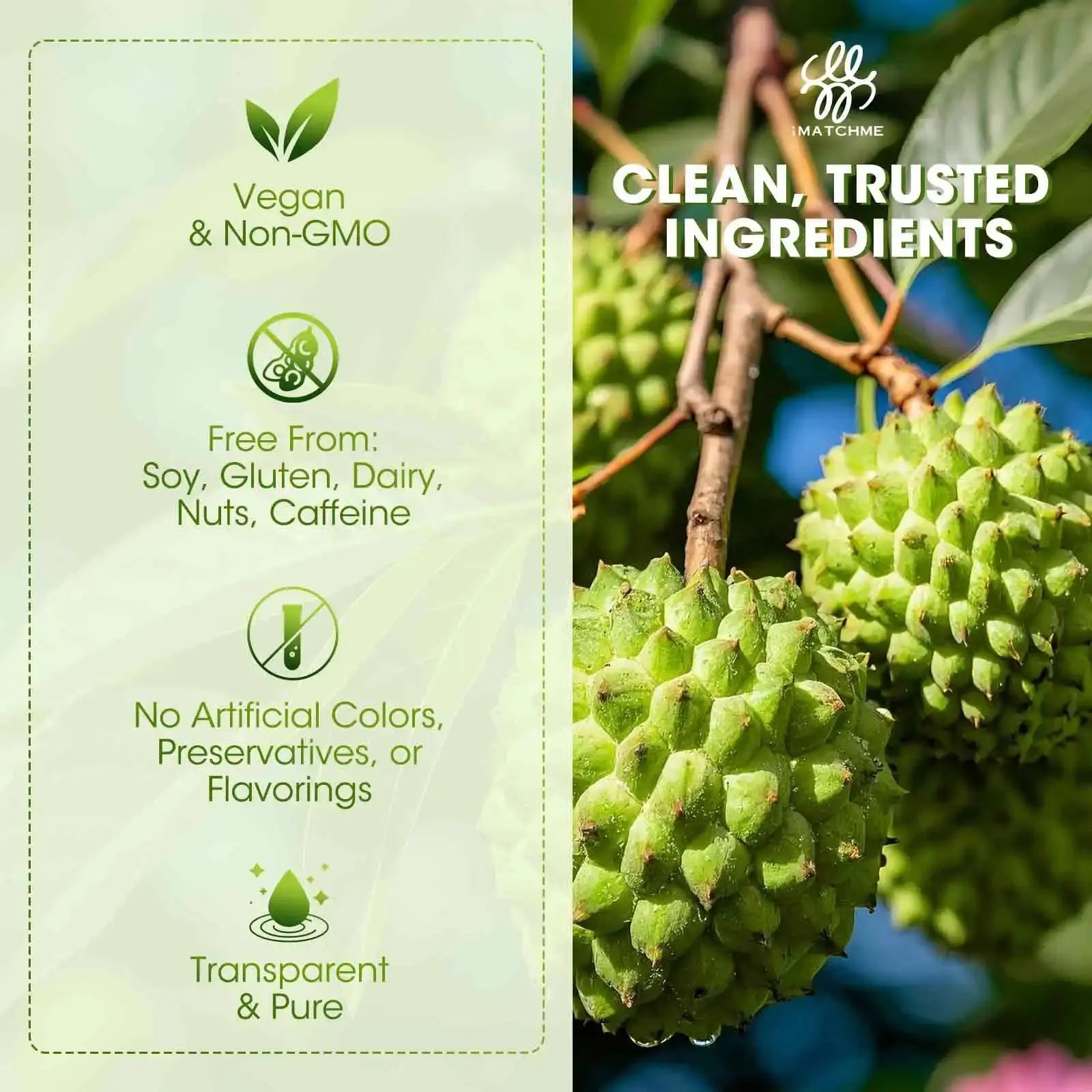 Organic Soursop Graviola Liquid Drops for Natural Antioxidant, Cell Support & Regeneration, Immune Boost, Rich in Multivitamin - Nova Trendz