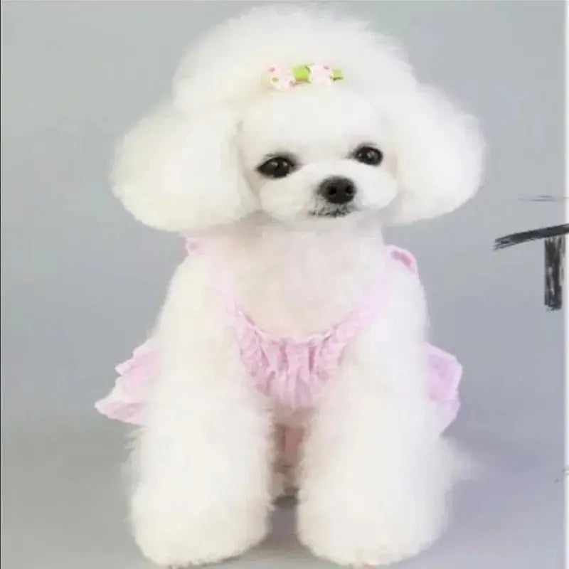 Pink Blue Dog Skirt Plaid Pet Bulldog Dress Spring Summer Party Skirt Teddy French Cat Dress - Nova Trendz