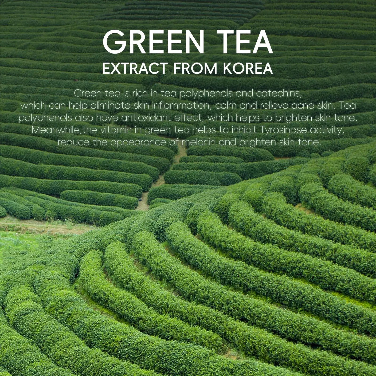 Green Tea Facial Cleanser 50g Skin Deep Cleansing Moisturizing Blackhead Removal Skincare Face Wash Foam Face Cleanser Skin Care - Nova Trendz