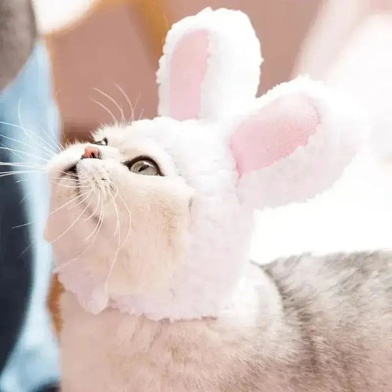 Cat Costume Cute Lion Mane Cat Wig Hat Cosplay Clothes Cap Dress Up Puppy Kitten Halloween Christmas Party Decoration Supplies Nova Trendz