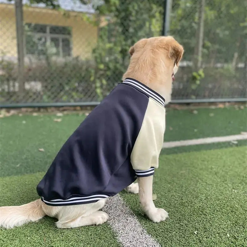 M~7XL Warm Big Dog Baseball Suit Medium Large Dogs Autumn Winter Clothing Golden Retriever Labrador Dog Sweater Thick Style - Nova Trendz
