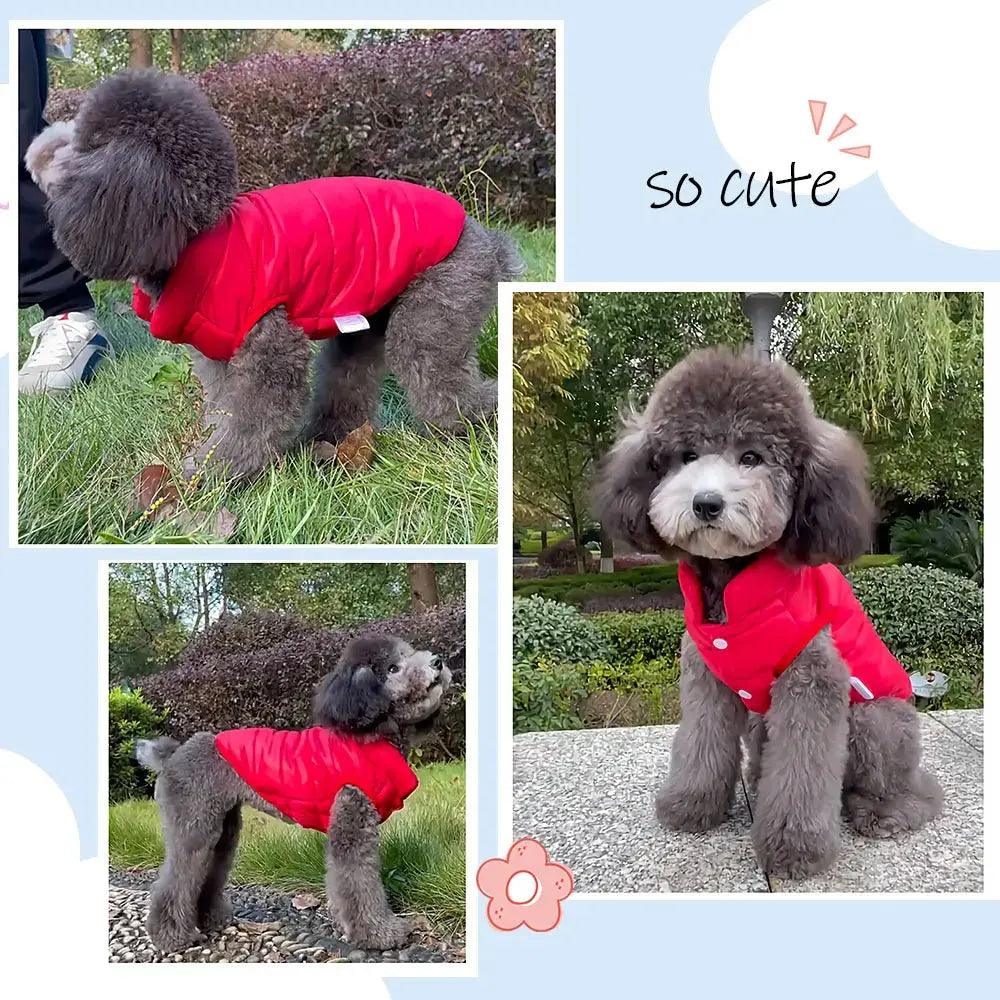 Warm Pet Dog Vest Clothes Chihuahua Pug Clothing Dogs Jacket Autumn Winter Dog Coat Clothes Outfit For Small Medium Dogs Cats Nova Trendz