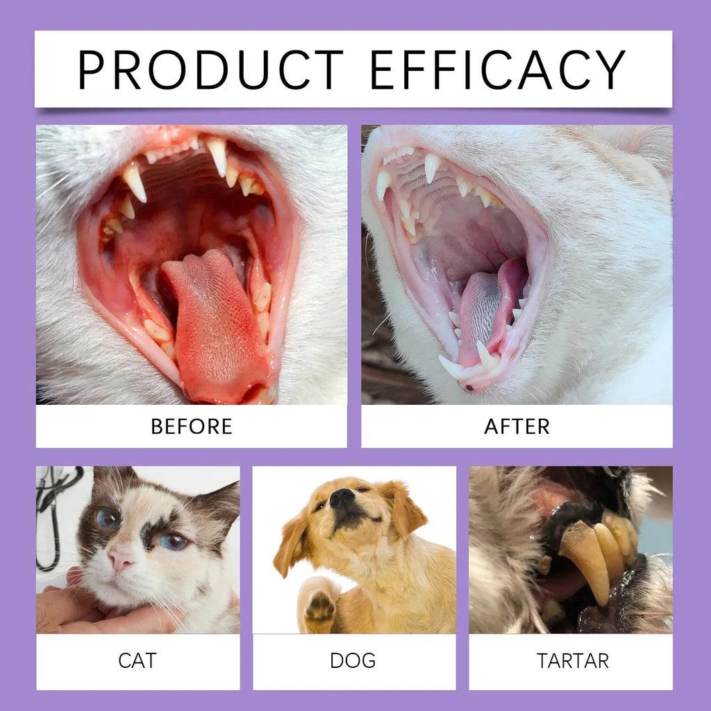 Pet Oral Cleaning Spray 50ml Dogs Cats Teeth Clean Deodorant Prevent Calculus Remove Kitten Bad Breath Mouth Fresh Pet Supplies - Nova Trendz
