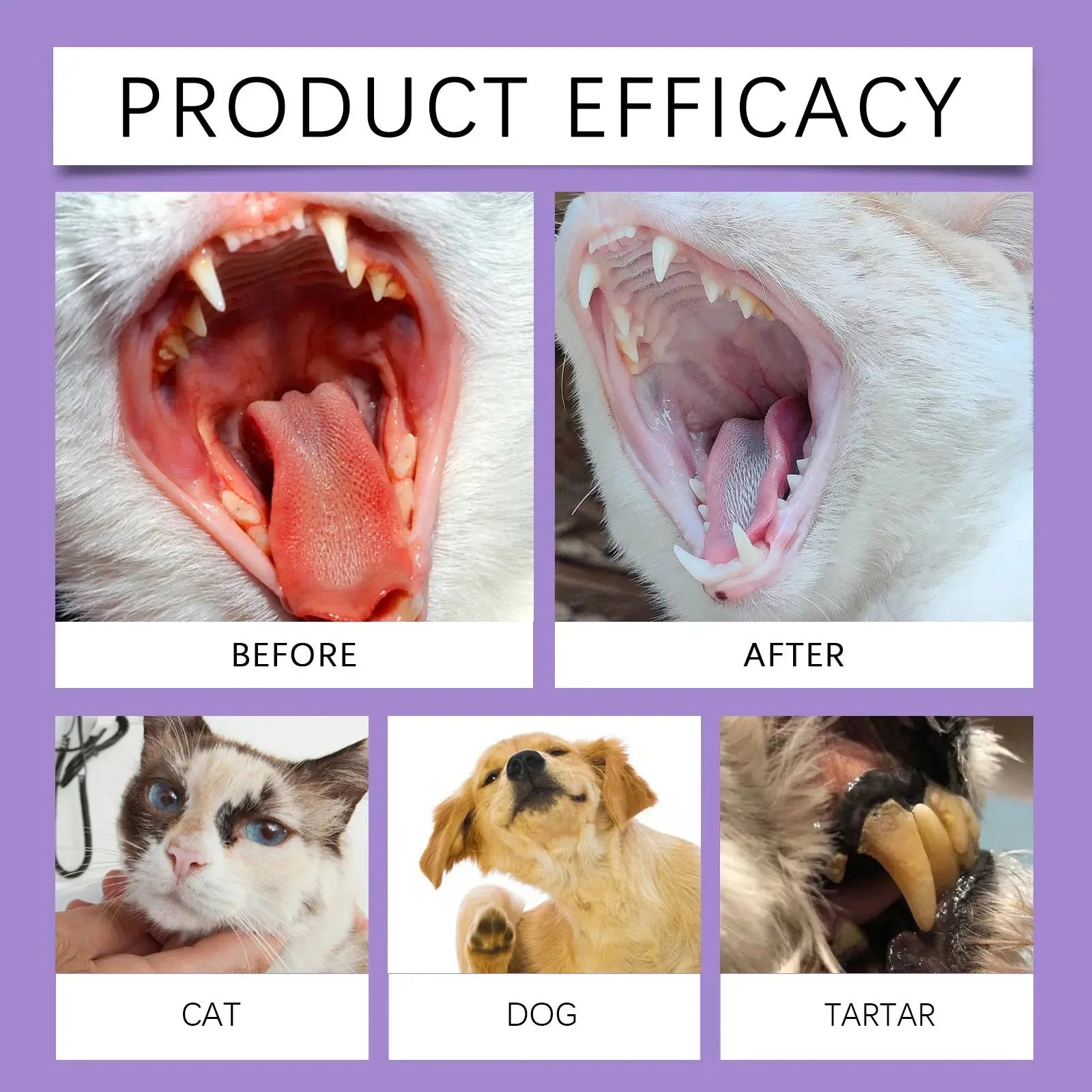 Pet Oral Cleaning Spray 50ml Dogs Cats Teeth Clean Deodorant Prevent Calculus Remove Kitten Bad Breath Mouth Fresh Pet Supplies - Nova Trendz