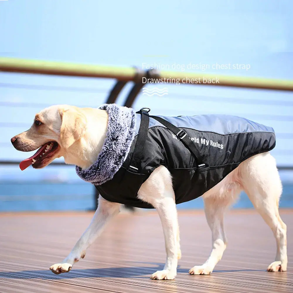 Thickened Big Dog Coat Jacket with Fur Collar Winter Warm Pet Clothes for Medium Large Dogs Greyhound Doberman mascotas Outfits - Nova Trendz