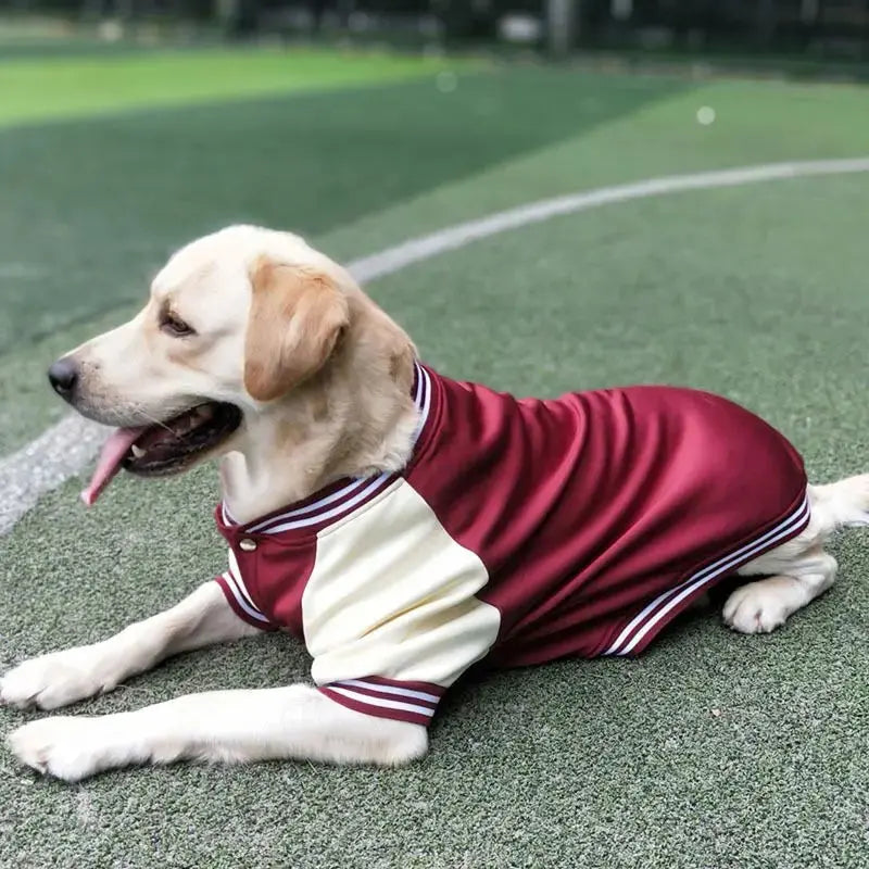 M~7XL Warm Big Dog Baseball Suit Medium Large Dogs Autumn Winter Clothing Golden Retriever Labrador Dog Sweater Thick Style - Nova Trendz