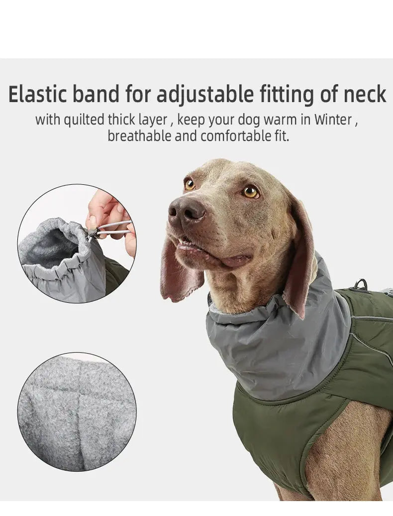 Dog Clothes Luxury Winter Jacket for Small Medium Large Dogs Waterproof Soft Padded Warm Pet Coat Safety Reflective  Dog Outfit - Nova Trendz