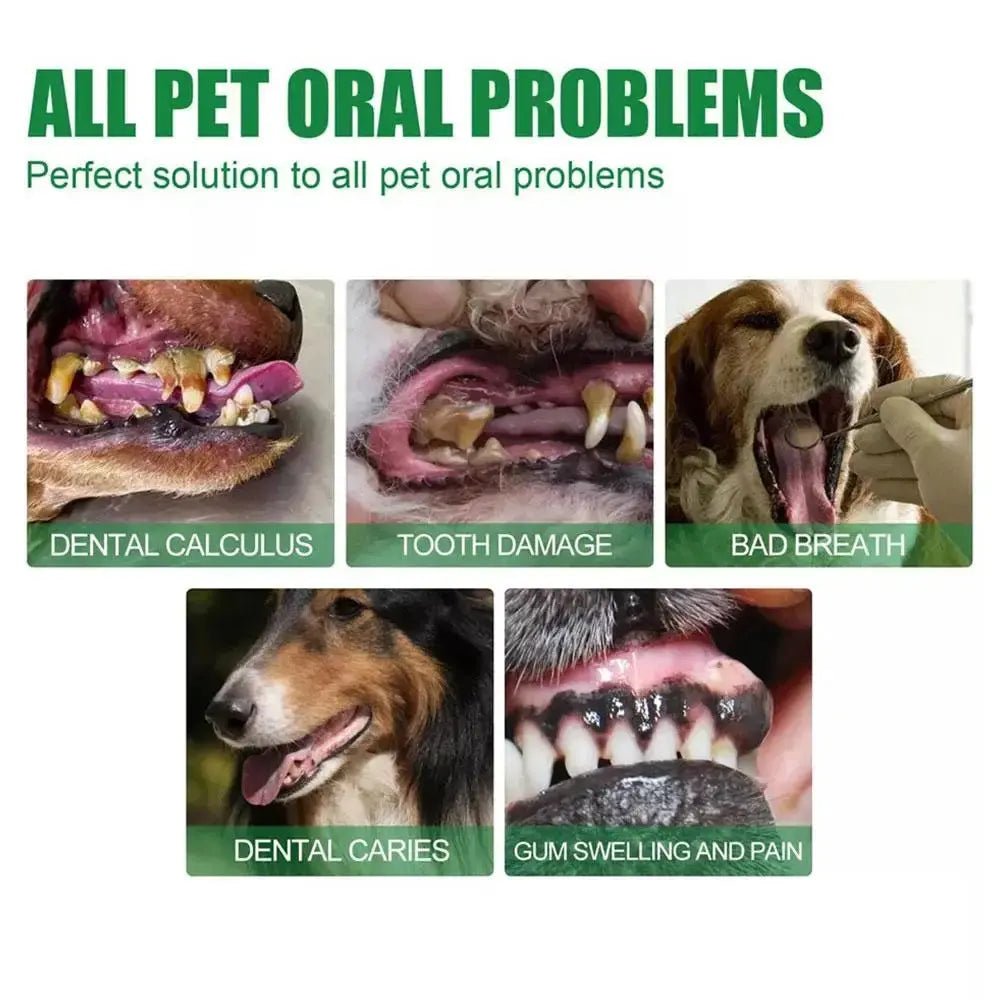 30ml/Bottle Dog Oral Spray Dog And Cat Tooth Cleaning Spray Tooth Spray Dog Oral Spray Pet Breath Freshener Oral Spray Nova Trendz