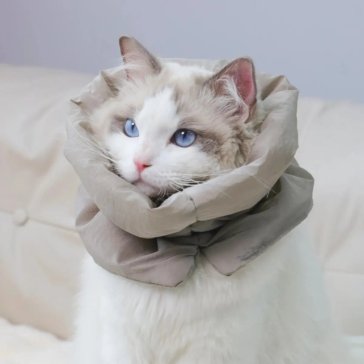 A colorful and fashionable pet warm collar and waterproof scarf for cats to prevent licking and biting after sterilization surge - Nova Trendz
