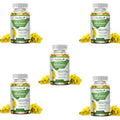 Mulittea Natural Mullein Leaf Capsules Herbal Supplement for Lung Cleanse Helps Healthy Respiratory Function & Mucous Membranes Nova Trendz