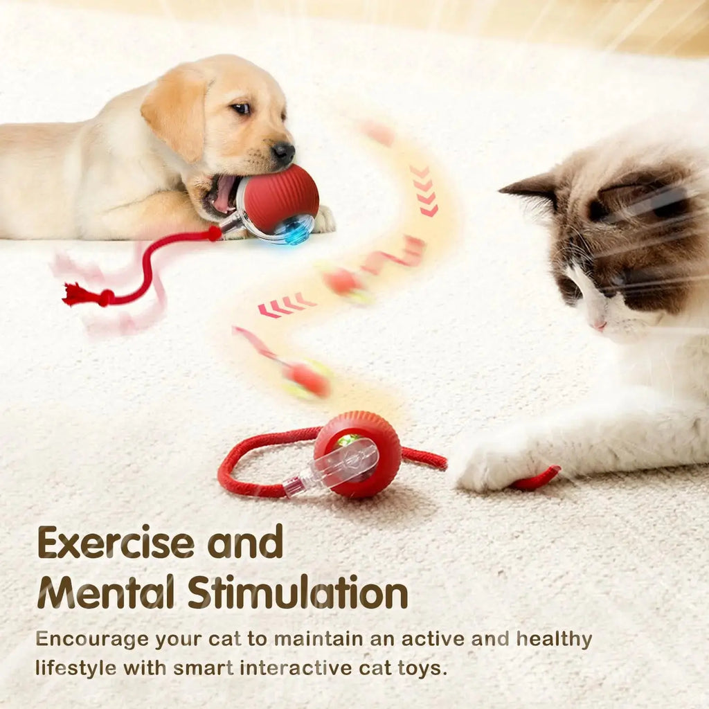 Cat Interactive Ball Toy, Automatic Rolling Ball with Tail, Rechargeable Smart Pet Interactive Toy, Intelligent Mouse for Cat - Nova Trendz