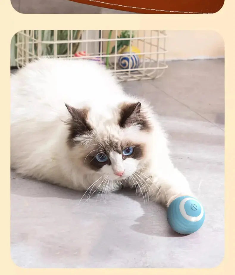Electric Cat Toy Smart Rolling Ball Resistant To Bite Teasing Cats Toys Self-exciting Ball Artifact Dust-free Pet Supplies Nova Trendz