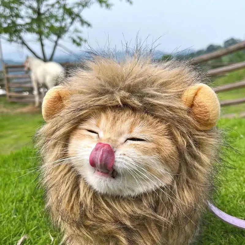 Cat Cosplay Dress Up Pet Hat Lion Mane for Cat Puppy Lion Wig Costume Party Decoration Halloween Christmas GatosPet Supplies Nova Trendz