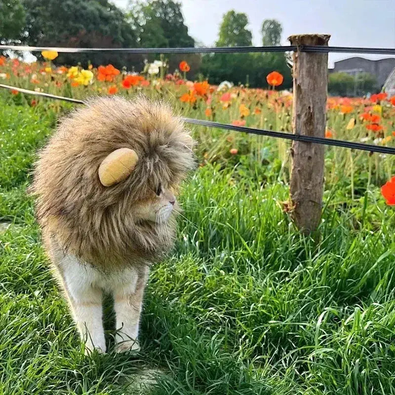 Cat Costume Cute Lion Mane Cat Wig Hat Cosplay Clothes Cap Dress Up Puppy Kitten Halloween Christmas Party Decoration Supplies Nova Trendz