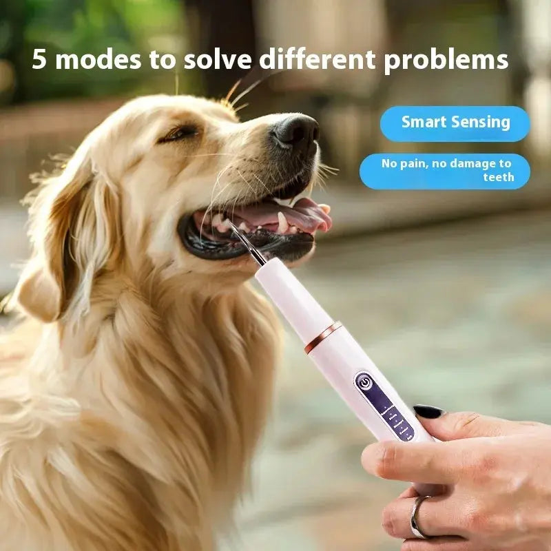 Dog Cat Grooming Smart Dental Ultrasonic Scaler Household Tooth Stone Remover Tooth CleanerTooth Whitening Oral Cleaning Tools - Nova Trendz