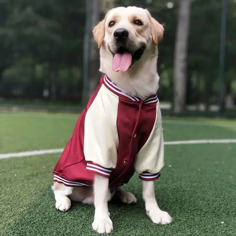 M~7XL Warm Big Dog Baseball Suit Medium Large Dogs Autumn Winter Clothing Golden Retriever Labrador Dog Sweater Thick Style - Nova Trendz
