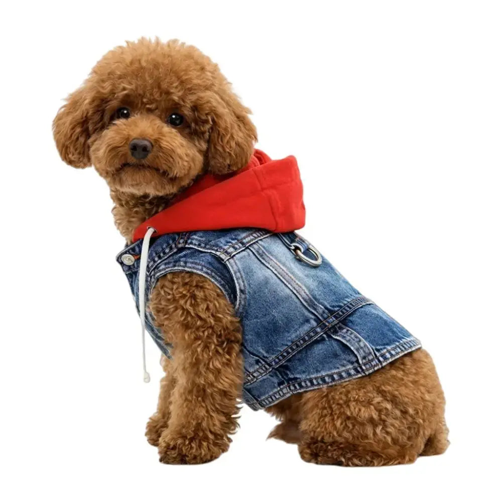 Denim Dog Jean Jacket Vest with D-Ring Cool Spring Dog Hoodies Breathable Lightweight Puppy Harness Coat For Small Medium Dogs - Nova Trendz