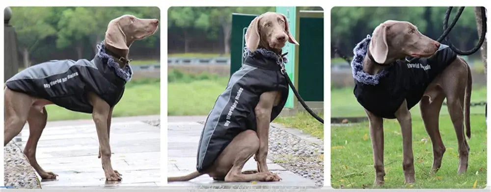 Thickened Big Dog Coat Jacket with Fur Collar Winter Warm Pet Clothes for Medium Large Dogs Greyhound Doberman mascotas Outfits - Nova Trendz