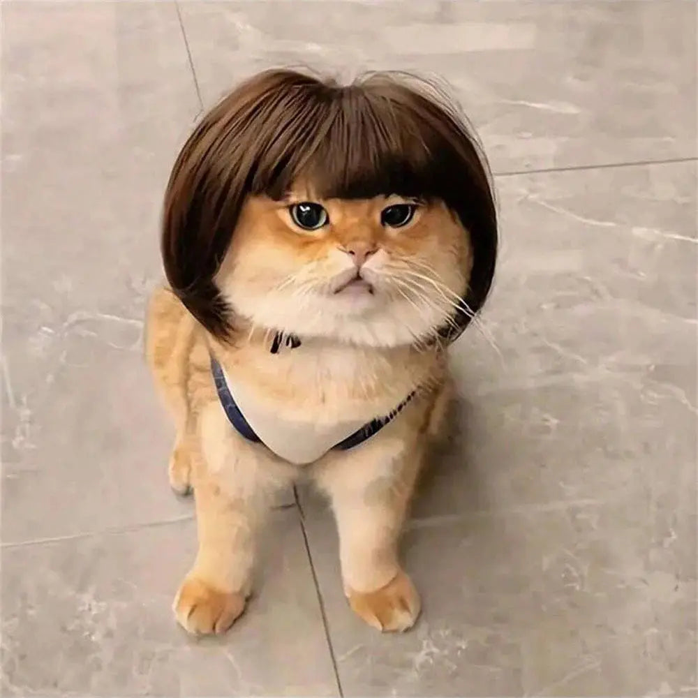 Funny Pet Cosplay Wig Short Dog Costume Wig Pet Decorations Cats Hair Hat Costumes Head Accessories Halloowen Christmas Supplies - Nova Trendz