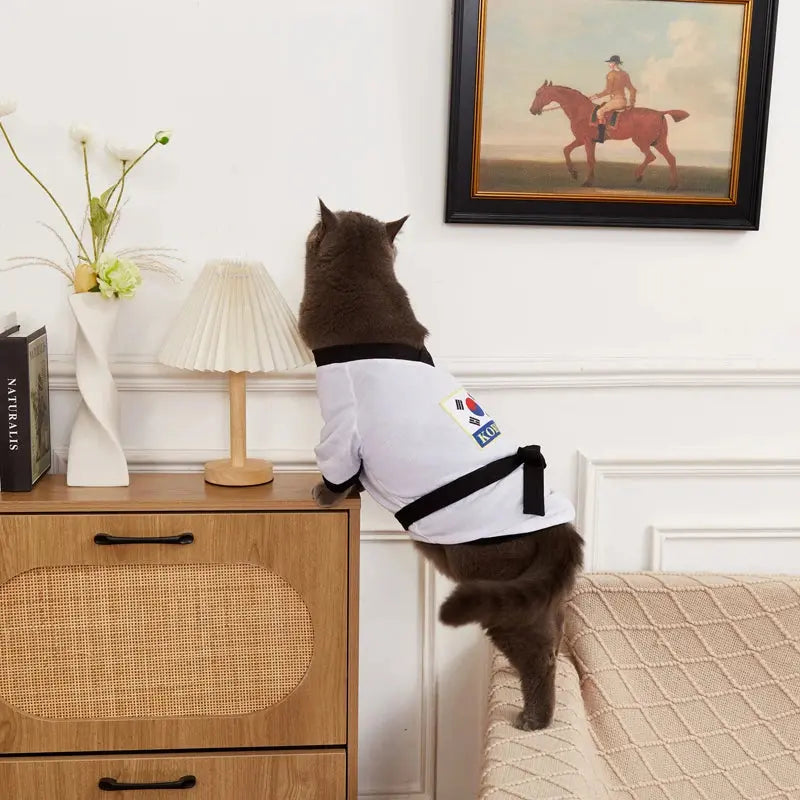 Pet Halloween Karate Costume with Belt Funny Taekwondo Uniform for Dogs and Cats - Nova Trendz