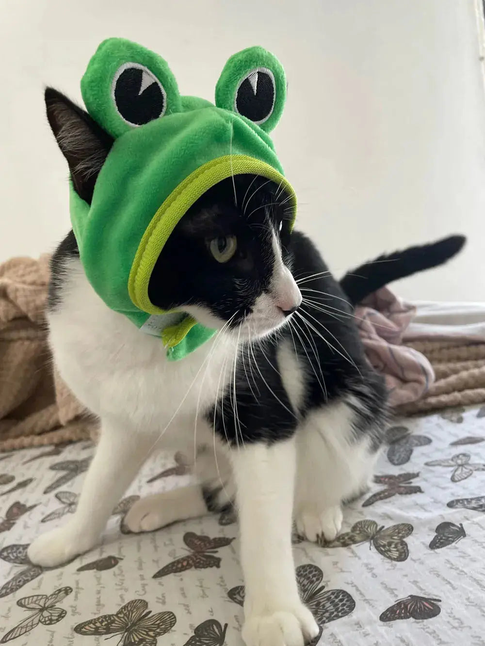 Halloween Easter Pet Costume Novelty Crab Lobster Frog Hat for Cat Puppy Hat Dog Cap Soft Headgear for Birthday Party Photo Prop - Nova Trendz