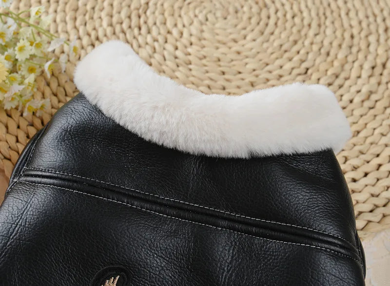 Flying Eagle PU Dog Clothes Plus Velvet Warm Pet Dog Coat Winter Thicken Leather Puppy Jacket Clothes For Small Medium Dogs Cats