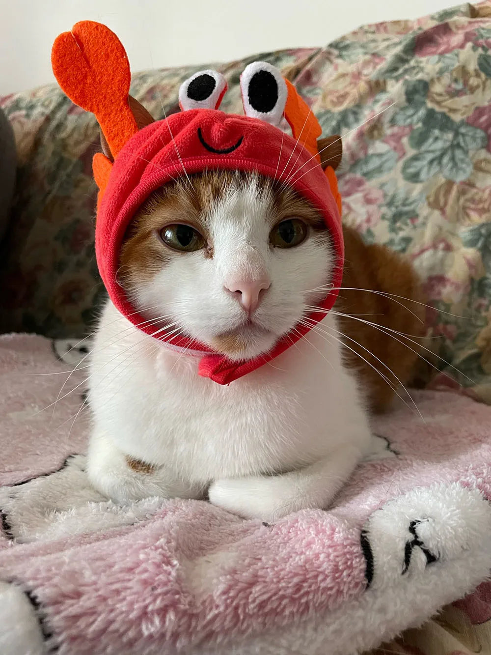 Halloween Easter Pet Costume Novelty Crab Lobster Frog Hat for Cat Puppy Hat Dog Cap Soft Headgear for Birthday Party Photo Prop