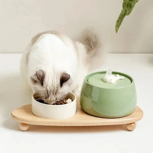 1.3 L Ceramic Cat Water Fountain USB Charging Pet Water Feeders Dogs Automatic Circulating Filtration Flow Water Dispenser Nova Trendz
