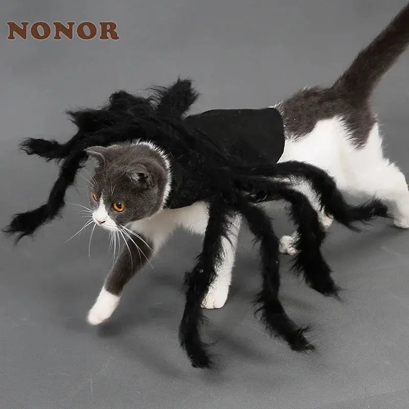 NONOR Halloween Dog Cat Clothes Pet Cosplay Funny Spider Costume Halloween Party Costumes for Small Medium Dog Cat Costumes Nova Trendz