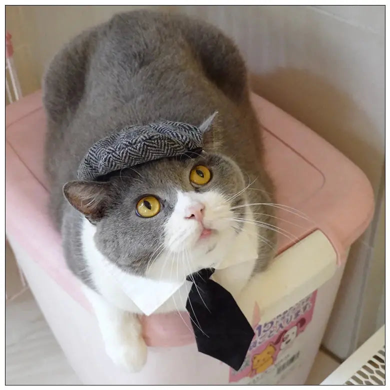 Funny Pet Cat Hat Gentleman's Hat Beret Tie Bathing Blood Gangster Handsome Cosplay Photo Prop Dog Halloween Costume Nova Trendz