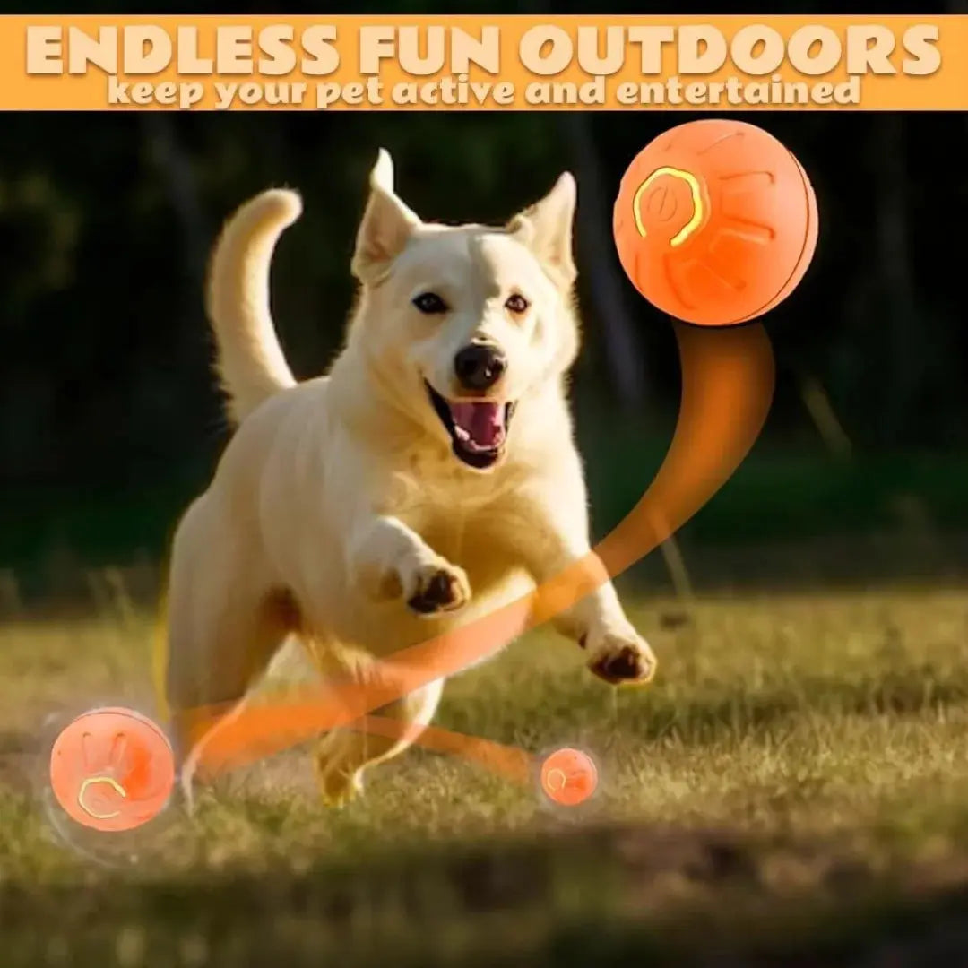 Pet toys Gravity Electric Amusement Pet Ball Smart Bouncing Ball For Dogs and Cats - Nova Trendz