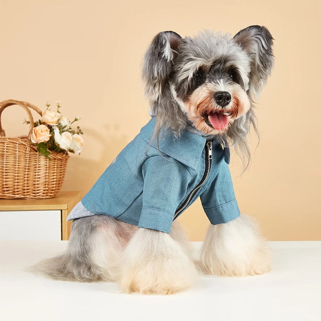 Winter Dog Clothes Pet Warm Hoodies Fashion Comfortable Dog Coat for Small Medium Dogs Nova Trendz