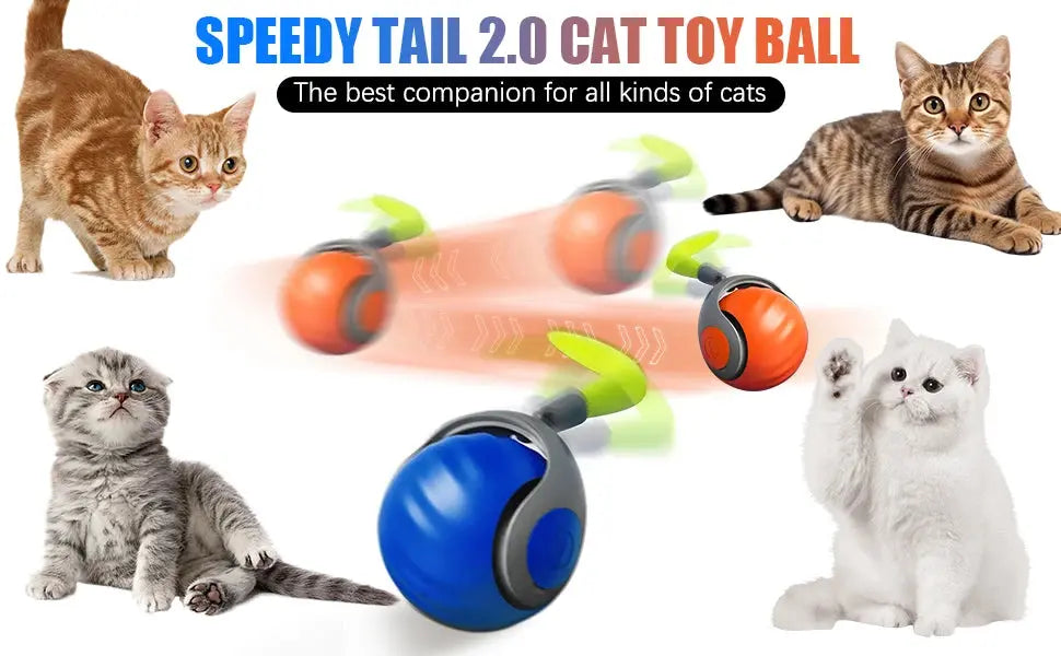 New Interactive Cat Toys Ball Auto Electric Rolling Ball Toys for Cat Kitty Pet Smart Automatic Teaser USB Rechargeable Cat Toy - Nova Trendz