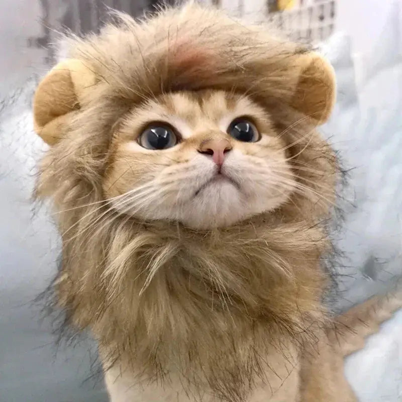 Cat Costume Cute Lion Mane Cat Wig Hat Cosplay Clothes Cap Dress Up Puppy Kitten Halloween Christmas Party Decoration Supplies Nova Trendz