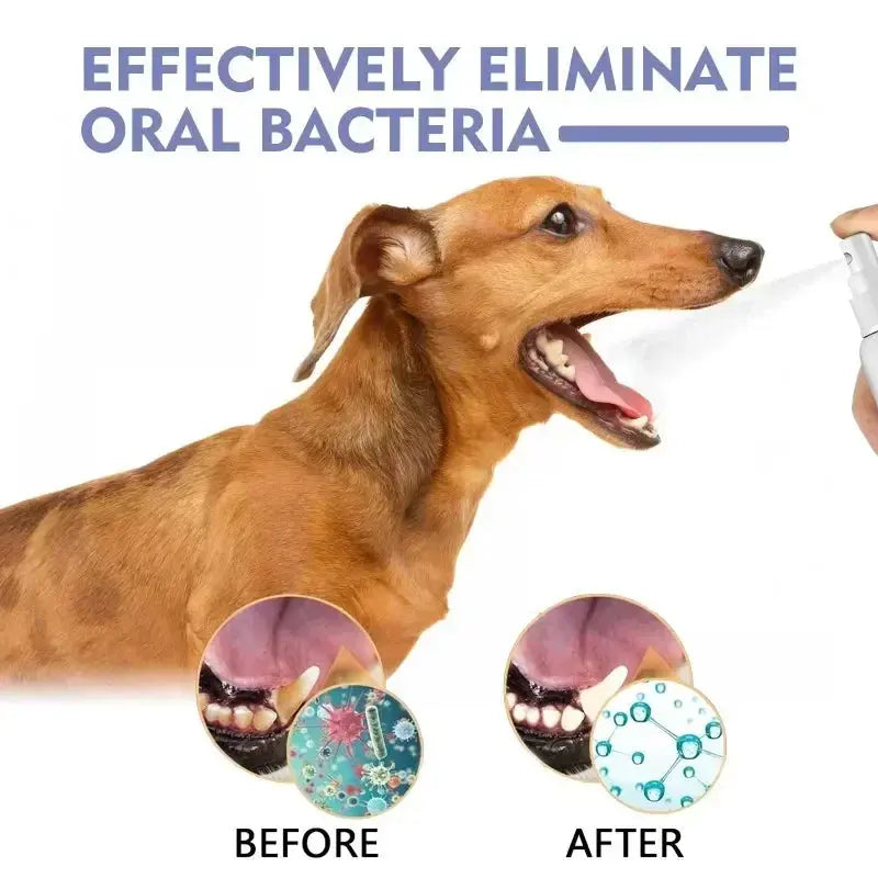 Pet Teeth Cleaning Spray Oral Care Remove Tooth Stains Keep Fresh Breath for Cats and Dogs Whitening  Remove bad breath - Nova Trendz
