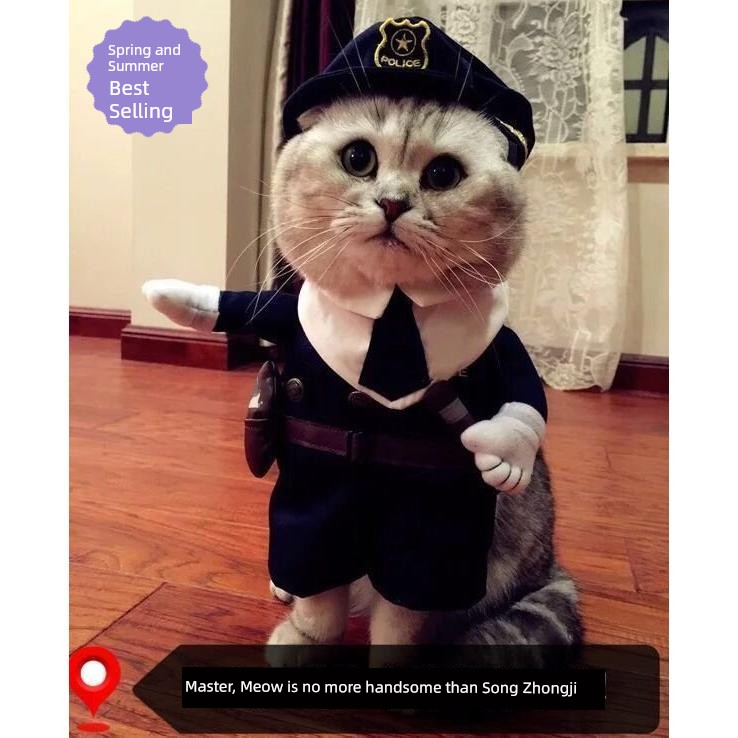 Cat Clothes Dog Clothes Teddy British Shorthair Pet Costume Funny Selling Cute Upright Pet Costume Spring and Summer Clothes Hot
