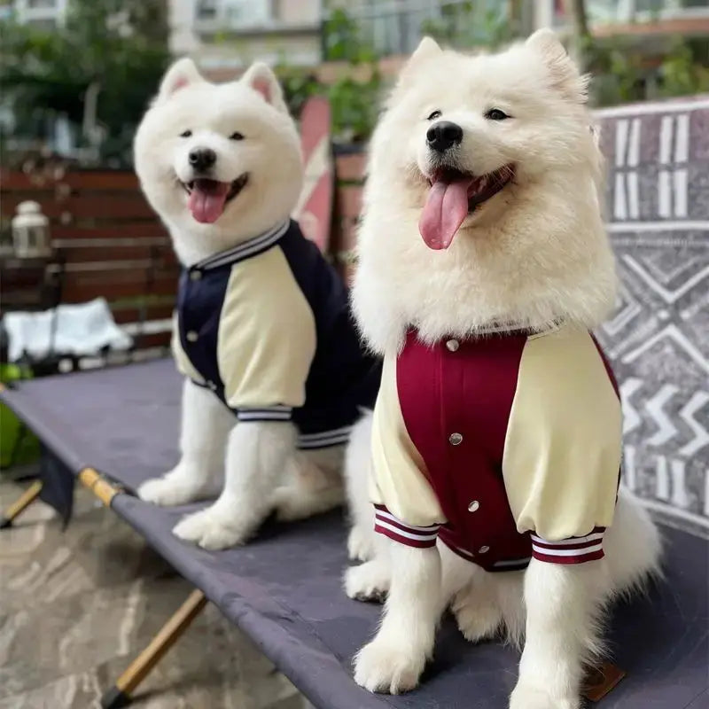 M~7XL Warm Big Dog Baseball Suit Medium Large Dogs Autumn Winter Clothing Golden Retriever Labrador Dog Sweater Thick Style - Nova Trendz