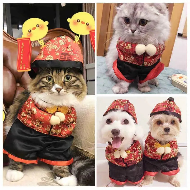 Cat Transformation Funny Pet Upright Pet Costume Cat Clothes Dog Funny Cat British Shorthair Cute Thin Summer Clothing Nova Trendz