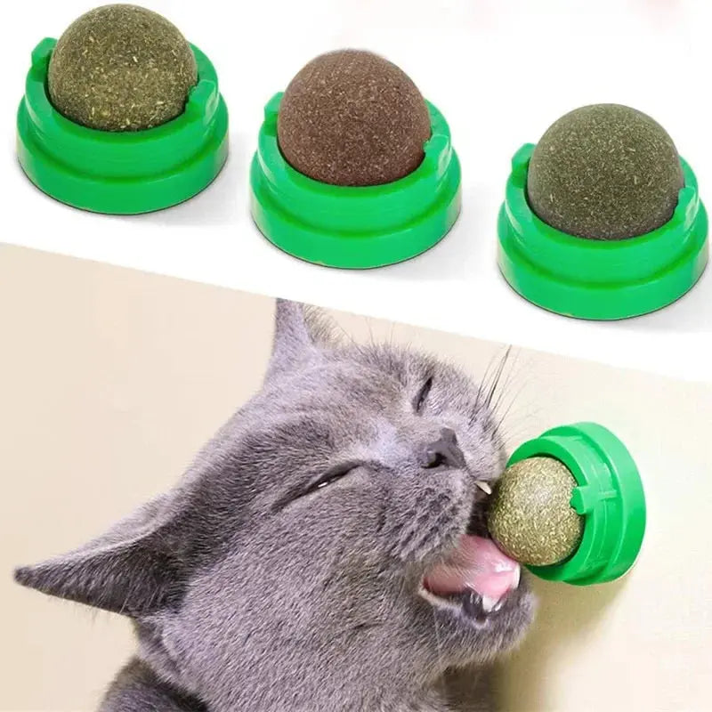 Natural Catnip Cat Wall Stick-on Ball Toy Scratchers Treats Healthy Natural Removes Balls to Promote Digestion Cat Grass Snack - Nova Trendz