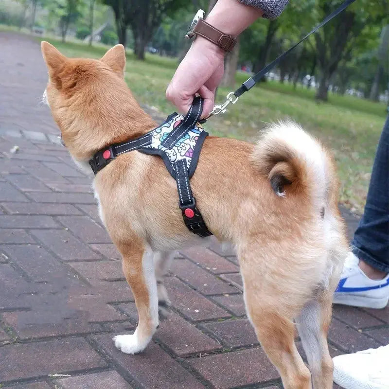 Personalized Dog Harness Nylon Reflective Breathable Pet Harness Vest For Small Large Dogs outdoor Walk Training Accessories - Nova Trendz