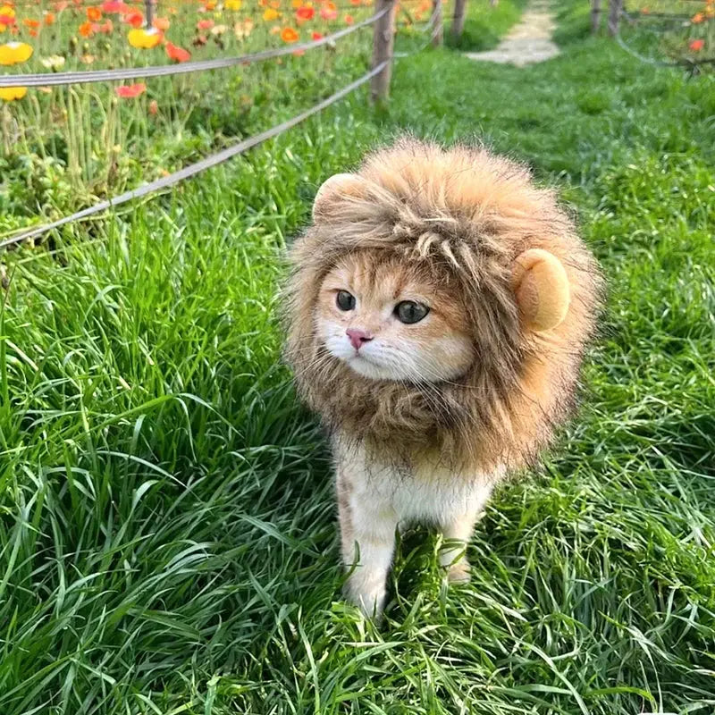 Cat Cosplay Dress Up Pet Hat Lion Mane for Cat Puppy Lion Wig Costume Party Decoration Halloween Christmas GatosPet Supplies Nova Trendz