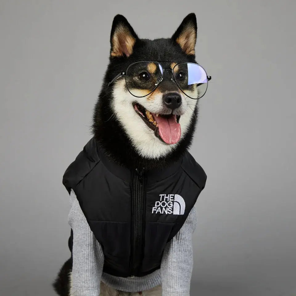 Autumn Winter Pet Dog Down Jacket Clothes for Small Medium Large Dogs Warm Thick Dog Vest French Bulldog Puppy Clothes - Nova Trendz