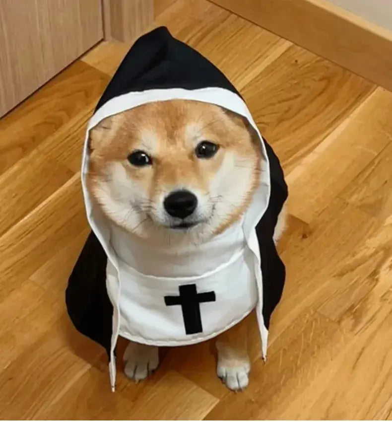 Cat Costumes, Cats and Dogs, Cross-dressing, Funny COS, Small and Medium-sized Pet Photo Props, Cat Funny Costumes - Nova Trendz