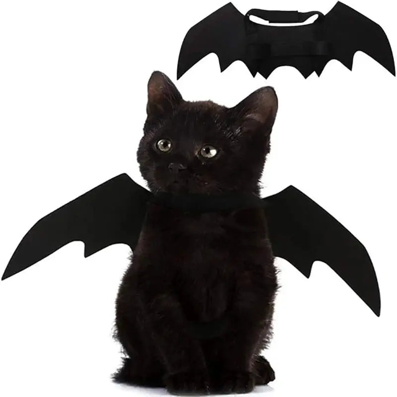 Dog Cat Bat Wings for Halloween Party Decoration, Pet Collar Leads Cosplay Bat Costume,Cute Puppy Cat Dress Up Accessories - Nova Trendz